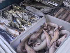 -阳江餐厅·30年老字号·粤菜海鲜大排档