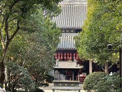 -秋霞圃