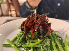 昭通椒丝油鸡枞麦瓜尖-泓0871臻选云南菜·味庄
