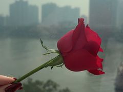 -桃花江餐厅·江景-约会·聚会