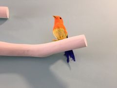 -BlueBubble蓝泡泡婴幼儿游泳会所(合川路店)