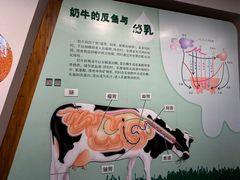 -君乐宝优致牧场
