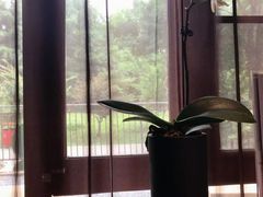 -捞天下大众火锅(水上公园店)