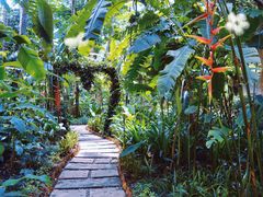 -中国科学院西双版纳热带植物园