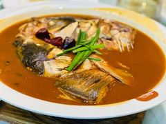 官厅湖大鱼头-怀来印象