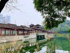 -重庆彩云湖湿地公园