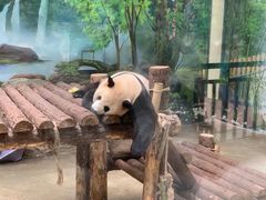 -杭州动物园