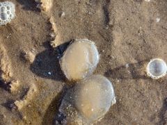 -威海国际海水浴场旅游区