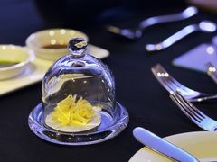 -沈阳丽都酒店