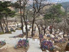 -青岩寺风景区