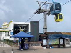 -摩天岭风景区