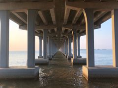 -宝安西湾红树林湿地公园