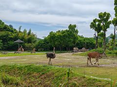-宁波野生动物园