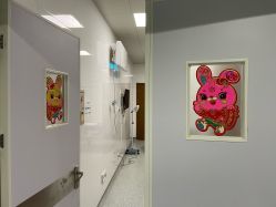 -上海市嘉定区妇幼保健院
