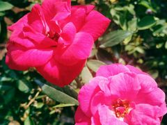 -人民公园(罗湖区)