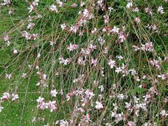 -云漫湖生态度假公园