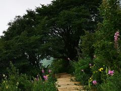 -白草畔自然风景区