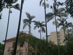 教学楼-广西大学(大学东路校区)