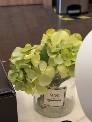 -上海玫瑰医疗美容医院