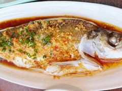 翘白鱼-羲和雅苑•北京烤鸭(瑞吉店)