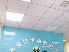 -佳怡动物医院·平价24小时·猫专科骨外科