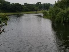 -同济大学(嘉定校区)