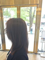 -YESIDO椰岛造型