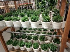 -鹿岛会员店 (龙湖三千集天街店)