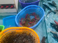 -隆都四季香饭店(碧海路店)