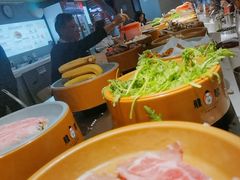 -龍歌自助小火锅(城阳万象汇店)