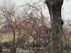 -南通洲际绿博园