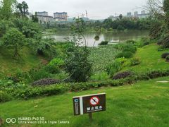-枫香湖儿童公园