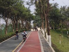 -大渡口区义渡公园