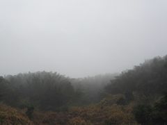 山边竹林-横岗山森林公园