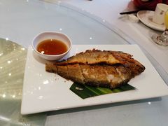 -沪碟·精菜坊(闵行店)