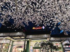 -玛格萝妮比萨屋(四平店)