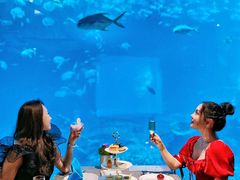 -涛·海底餐厅·美人鱼·自助餐·海底隧道(三亚海棠湾洲际度假酒店)
