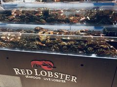 -RED LOBSTER(环球影城大阪店)