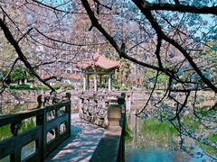 -武汉大学-樱园