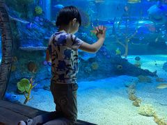 -沈阳海洋探索中心