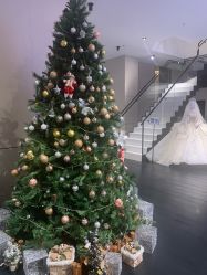 -MuseMarry婚纱(前海嘉里中心店)