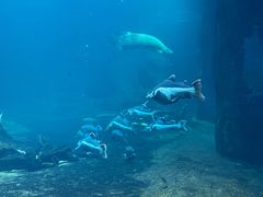 -华夏文旅西安度假区