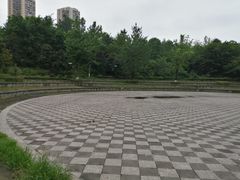 -重庆彩云湖湿地公园