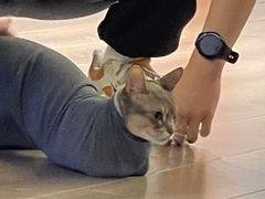 -NRG健身私教CLUB(打浦桥店)
