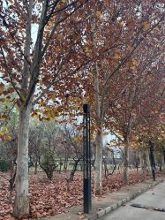 -禧园Joyous Garden ·宴会厅(禧园店)