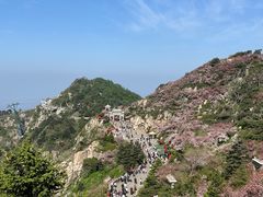 -泰山风景名胜区