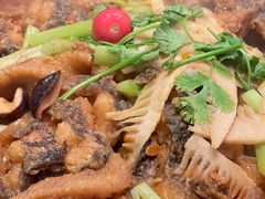 -老板恋上鱼(印象城店)