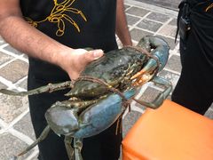 -Ministry of Crab(科伦坡店)