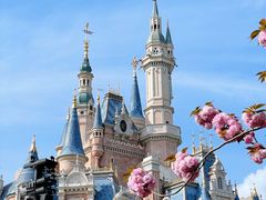 -上海迪士尼度假区