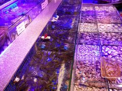 -青蓬蒸汽海鲜·深圳老字号·团建聚会(壹方城店)
